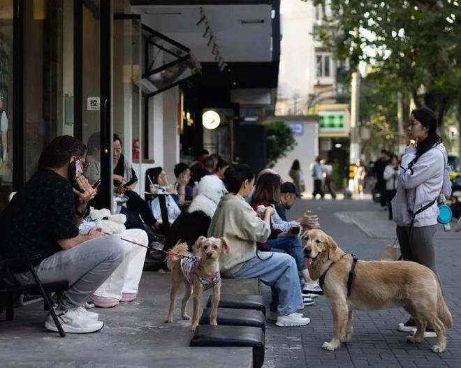 弃了双11爱上了“老年严选”AG真人地址这届脆皮年轻人抛(图14)